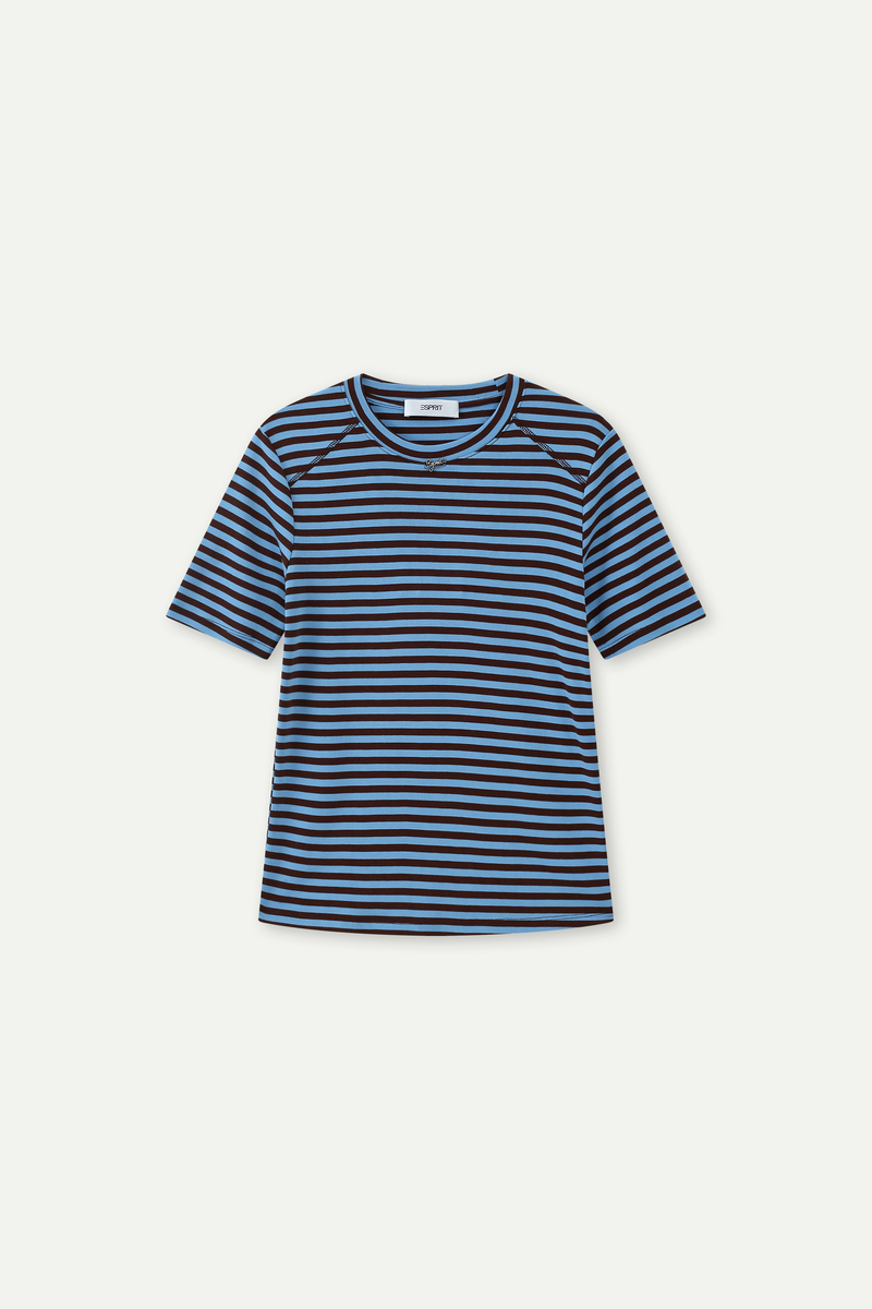 Striped Raglan Sleeve Crew Neck T-Shirt
