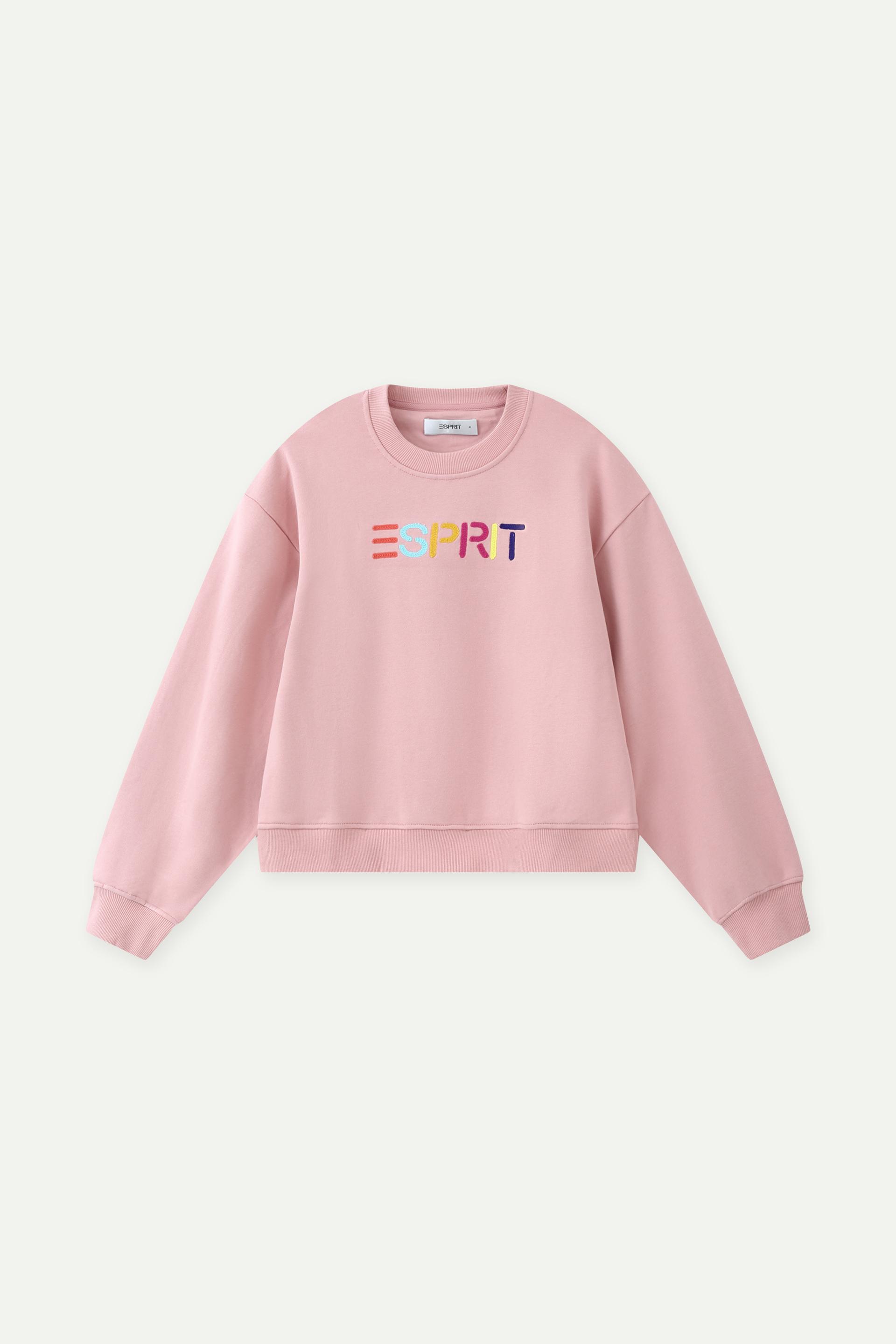 Multicolour Embroidered Logo Crew Neck Sweatshirt