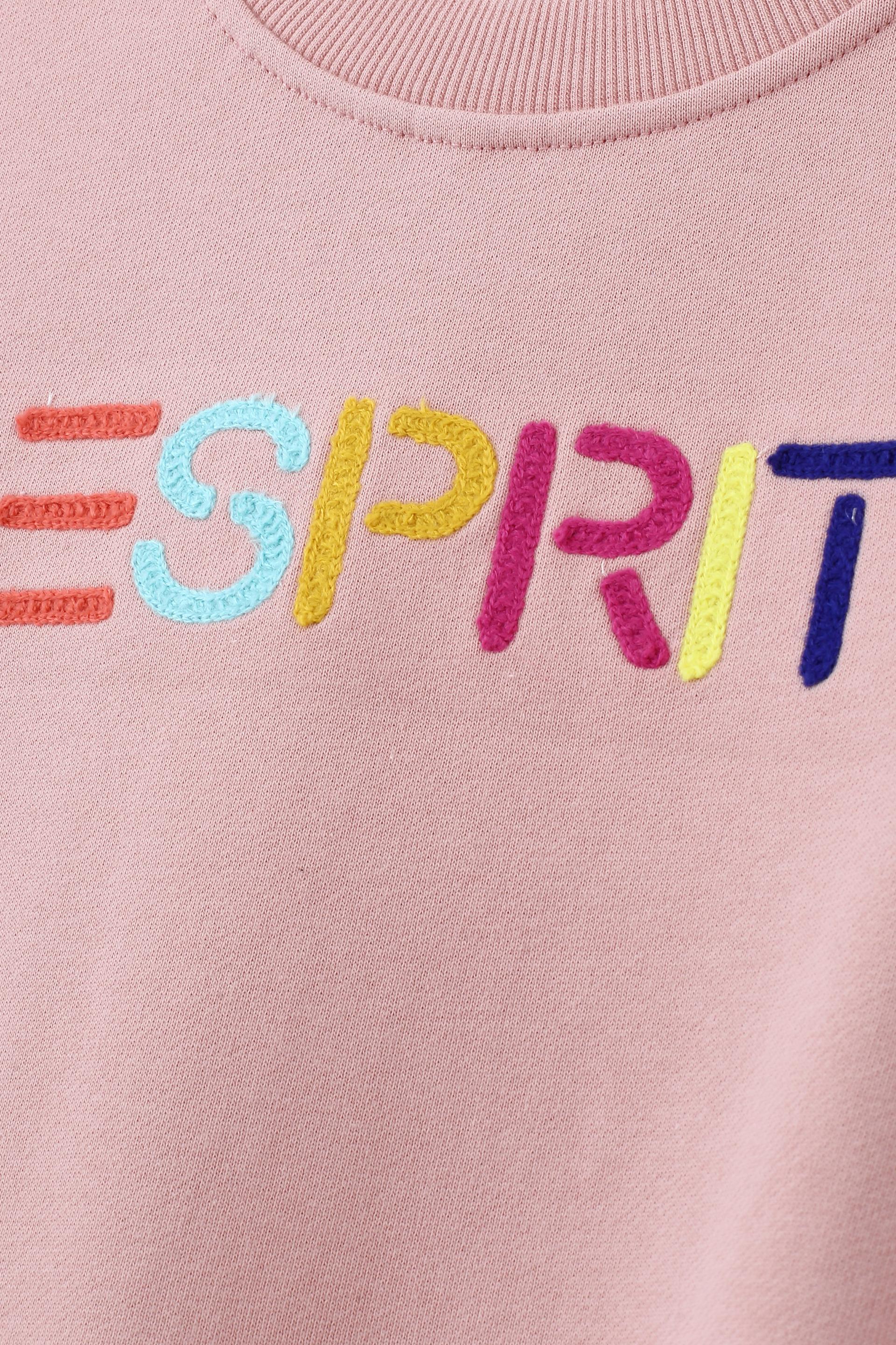 Multicolour Embroidered Logo Crew Neck Sweatshirt