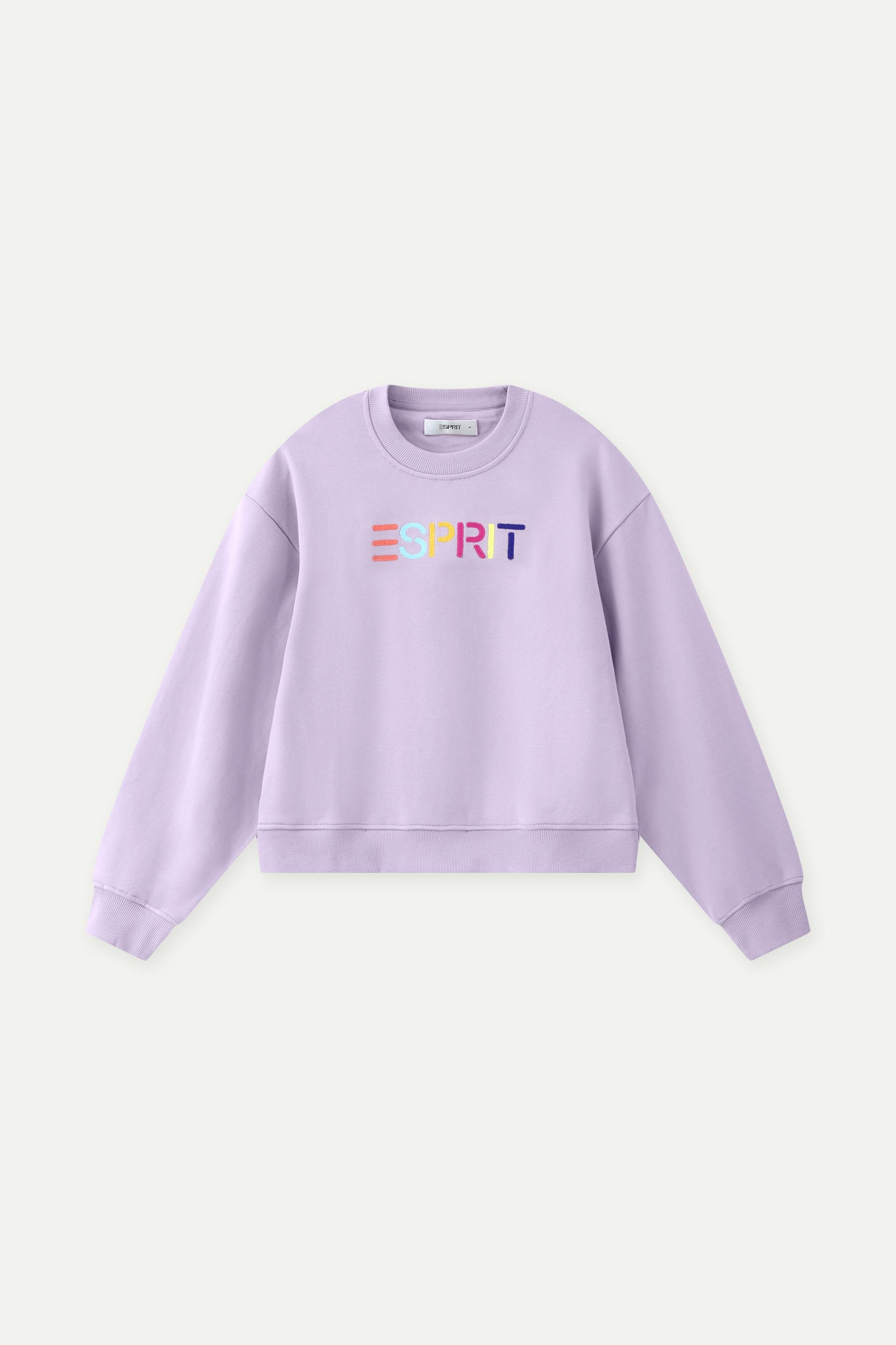 Multicolour Embroidered Logo Crew Neck Sweatshirt