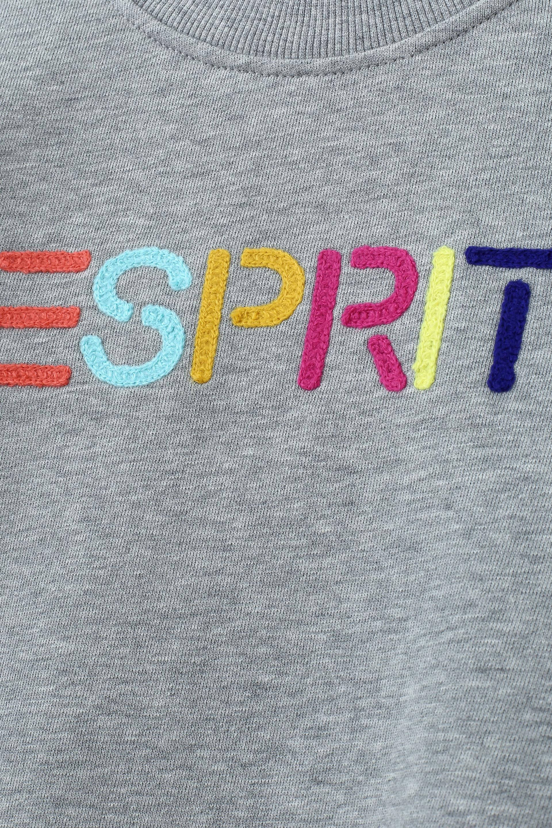 Multicolour Embroidered Logo Crew Neck Sweatshirt