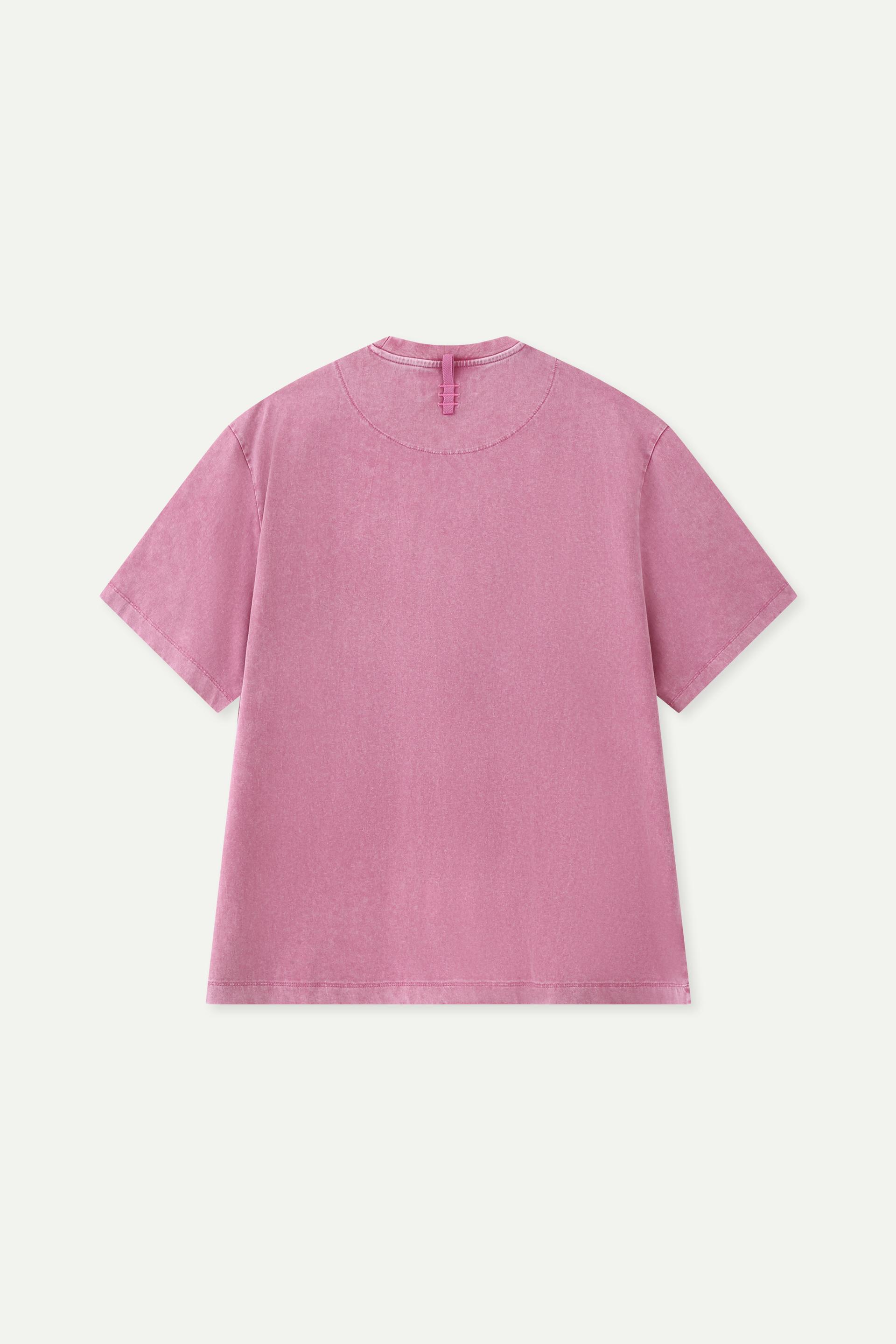 Acid Wash Logo T-Shirt